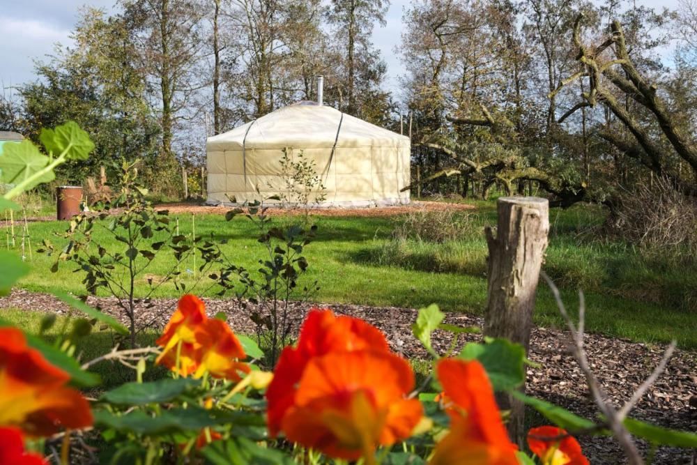 Veenwoudsterwal Yurt Klyndobbe Bed & Breakfast エクステリア 写真